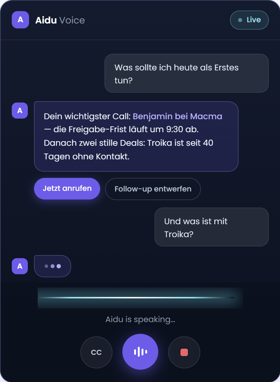 Aidu Voice live sales assistant chat