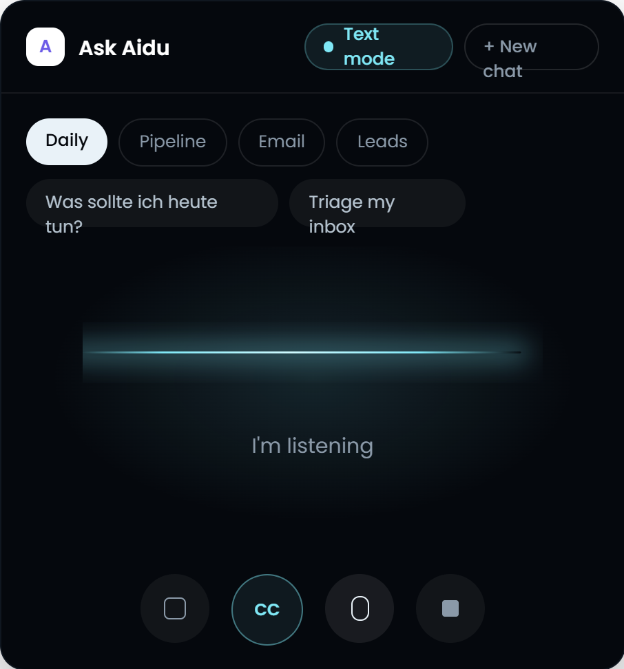Ask Aidu voice mode